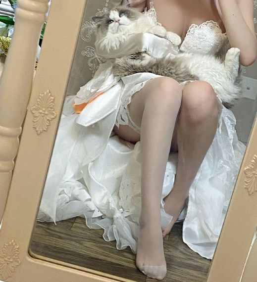射雕英雄传铁血丹心_蓝光免费观看最新