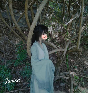 汪汪队动画片全部_HD高清视频播放