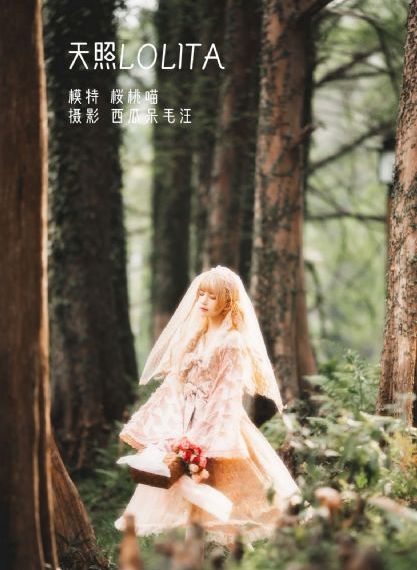 铁血轻奇兵42集在线观看_DVD免费观看最新